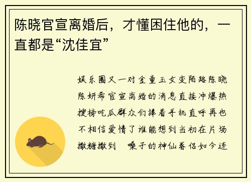 陈晓官宣离婚后，才懂困住他的，一直都是“沈佳宜”
