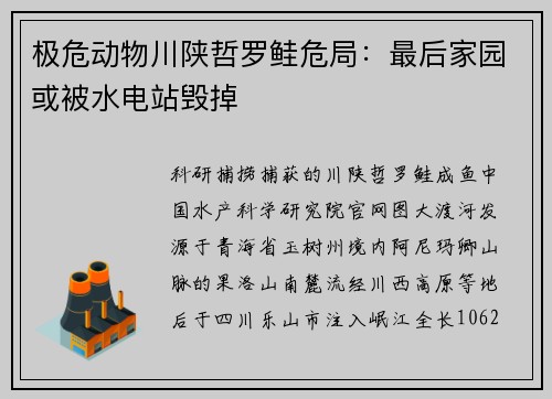 极危动物川陕哲罗鲑危局：最后家园或被水电站毁掉