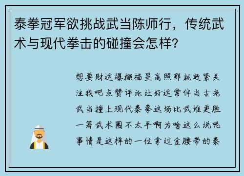 泰拳冠军欲挑战武当陈师行，传统武术与现代拳击的碰撞会怎样？